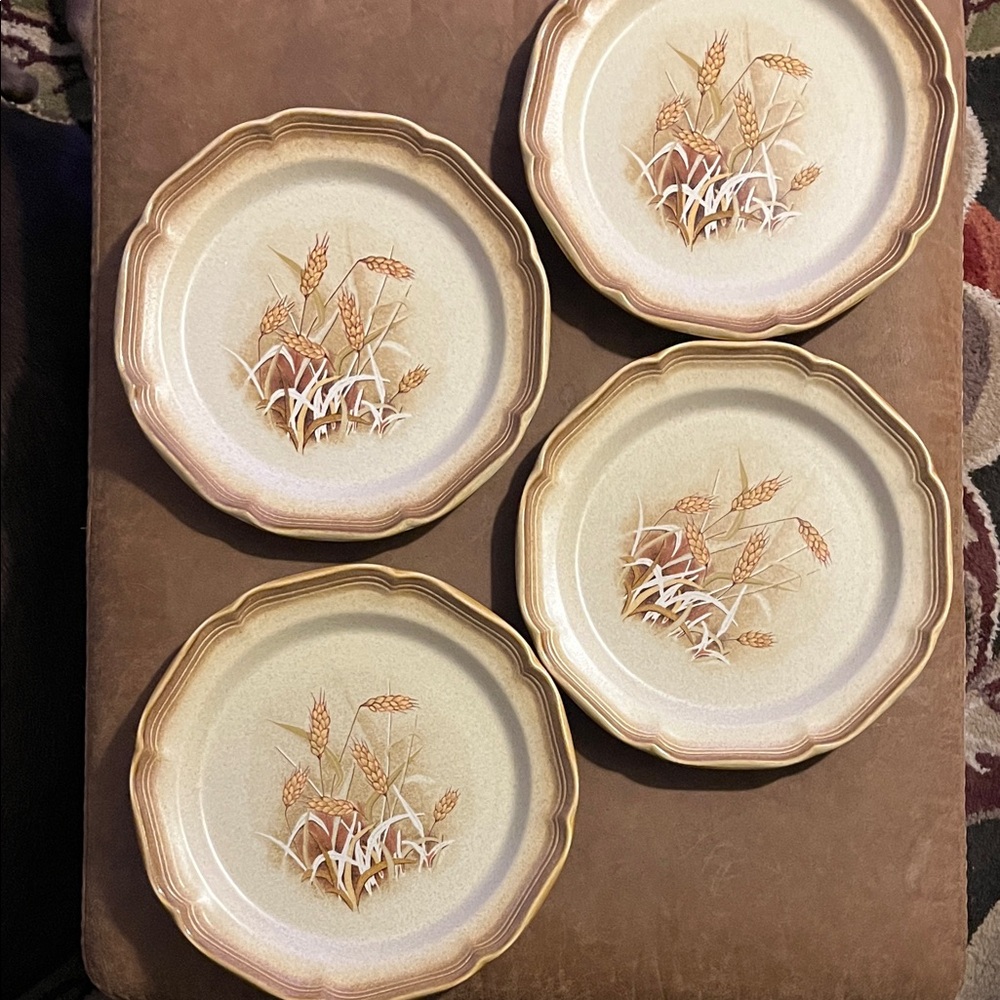 Vintage Mikasa Whole wheat granola 10” dinner plates